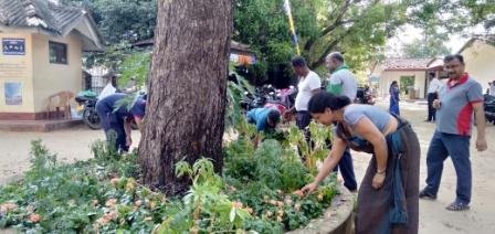 Home gardening program implemented in the office premises